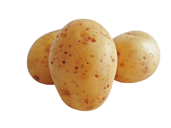 potato hq